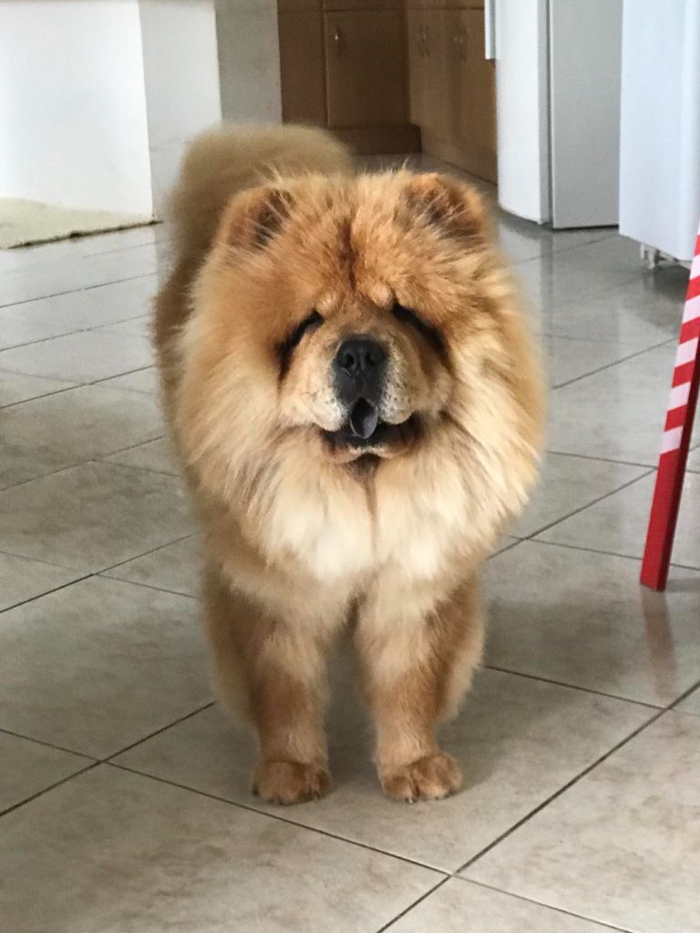 R'mayaka domaine de lu ti