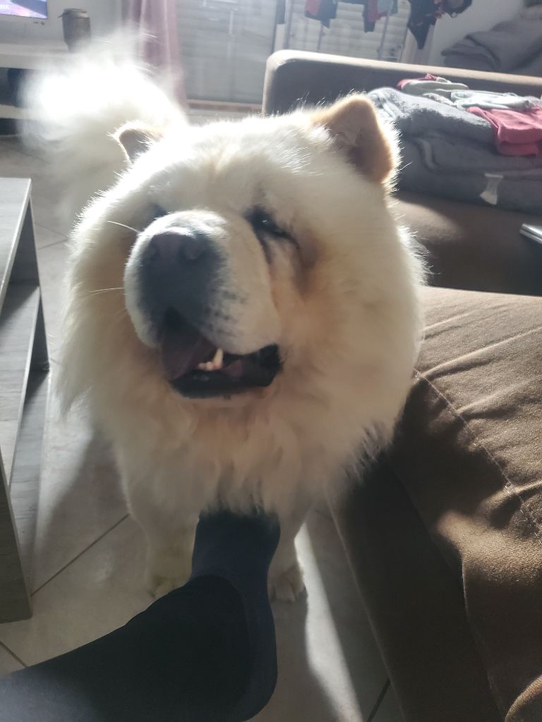 Sarabi (Sans Affixe)