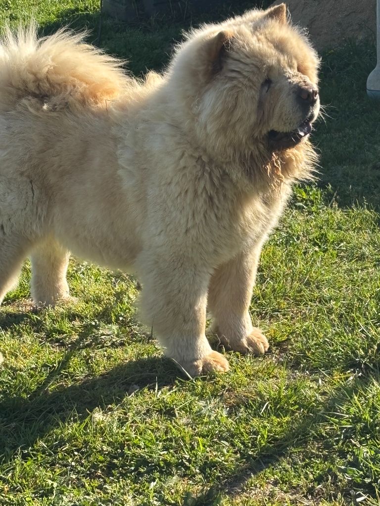 Talya des Pantoufles d'Amour